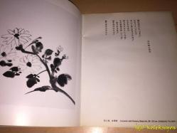 YONA SİDERER - Worlds Far and Near - Exhibition at Ephrat Gallery 1993 - İngilizce , Japonca  Dergi , Katalog