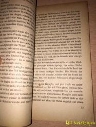 Die Wildspur - Karl Bruckner - Des Schönbrunn Verlages - Almanca Kitap (Vahşi Mahmuz)