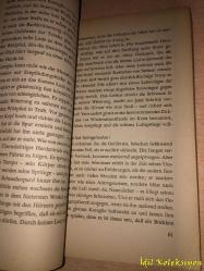 Die Wildspur - Karl Bruckner - Des Schönbrunn Verlages - Almanca Kitap (Vahşi Mahmuz)