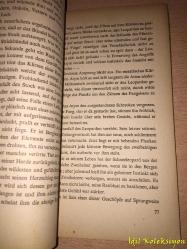 Die Wildspur - Karl Bruckner - Des Schönbrunn Verlages - Almanca Kitap (Vahşi Mahmuz)