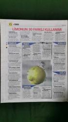 Hürriyet Kelebek 2 Gazete 23 Mart 2016 Doğal Ev Yapımı Şampuanlar Kremler ve Maskeler,Pratik Bilgiler,Doğal Limon Şampuanı,Ballı Saç Şampuanı,Bebeğiniz İçin Ev Yapımı Islak Mendil,Besleyici Saç Durulama Suyu,Beyaz Eşya Alırken Dikkat Edilmesi Gerekenler,Limonun 30 Farklı Kullanımını,Normal Ciltler İçin Doğal Bakım Maskesi