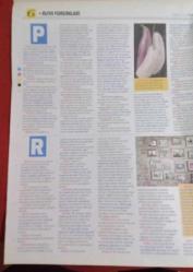 Kelebek 2 Gazete 31 Mart 2016 Rüyaların Dili Çözülüyor!,Terazi - Akrep Burcu,Akrep - Terazi Burcu Kadınları,Akrep Burcu Kadını Ve Erkek,Terazi Burcu Kadını ve Erkek,Akrep Burcu Erkeği,Terazi Burcu Erkeği,Yıl İçi Sağlığınız,Akrep - Terazi Burcunun Yıl İçi İş Hayatı