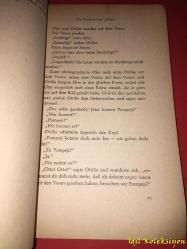 Die Dame aus der Morgenzeitung - Jo Hanns Rösler - Gebrüder Weiss Verlag - Almanca Kitap (Sabah Gazetesindeki Bayan)