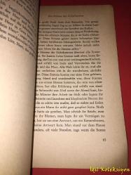 Die Dame aus der Morgenzeitung - Jo Hanns Rösler - Gebrüder Weiss Verlag - Almanca Kitap (Sabah Gazetesindeki Bayan)