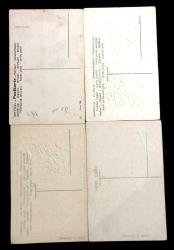 Çiçekler / Yaklaşık yüz yıllık, 11 adet kartpostal