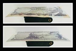 6.Emisyon 5 LİRA  “Z93” SERİSİ / 2.Tertip (REPLACEMENT/DEĞİŞİM) ÇİL ''NADİR'' (TCK5Z)