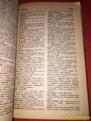 Webster's Dictionary - Leisure Entertainment Service - İngilizce Sözlük (Hafif Yıpranmalar Mevcut)