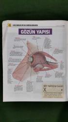 Kelebek 2 Gazete 3 Haziran 2016 Aile Sağlığı ve İlkyardım Rehberi,Gözler Nasıl Çalışır ?,Sinüzit,Horlama,Uyku Apnesi,Tıkayıcı Uyku Apnesi,Gözün Yapısı,Ergenlik Sivilcesi,Bulaşıcı Hastalıkların Nedenleri,Tamamlayıcı Terapiler Ve Kullanımları,Herbalism,Refleksoloji,Şiyatsu