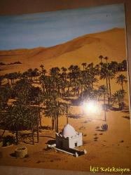 SAHARA : Foto , Expedition mit Helfried Weyer - Verlag Laterna magica Joachim F. Richter - Almanca Kitap (SAHARA: Fotoğraf, Helfried Weyer ile keşif gezisi)