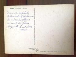 ŞEHİR KARTPOSTAL, NOUMÉA, FRANSA'YA BAĞLI DENİZAŞIRI TOPRAĞI OLAN YENİ KALEDONYA'NIN BAŞKENTİ, ARKASI YAZILI, RENKLİ, 11 X 15 CM EBADINDA - 1940'LAR, 1950'LER, 1960'LAR, 1970'LER 1980'LER