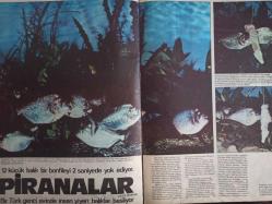 Adam Magazin Dergisi - Eylül 1976 - No:18 - Necmettin Erbakan - Barbra Bernard - 76/77 Erkek Modası haberi - Sinan Bilsel - Kerim Kerimoğlu - Suikastın İçyüzü Tüfekli Bir Adam Var haberi - Piranalar haberi - Sayı Bilim haberi - Anne Marie Alexandra - 45. İzmir Uluslararası Fuarı haberi - Ev Dekorasyon Reklamı - Aksu Kumaş Reklamı fotoğraf ve haberi - Tam Takım Dergi