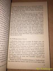 Wenn Mütter arbeiten - Sandra Scarr - Verlag C.H. Beck - Almanca Kitap (Anneler Çalışırken)