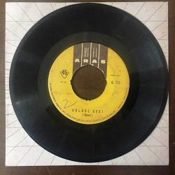 Bülbül Sesi - Gündüz & Gece - TÜRKÇE 45'lik Plak, TÜRKİYE BASKI