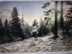 ŞEHİR KARTPOSTALI-ALP DAĞLARI KARLAR ALTINDA ÇAM AĞAÇLARI GÜNDÜZ GÖRÜNTÜSÜ,ARKASINA YAZILMAMIŞ,RENKLİ, 11 X 15 CM EBADINDA - 1950'LER, 1960'LAR, 1970'LER, 1980'LER