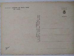 ŞEHİR KARTPOSTALI-ALP DAĞLARI KARLAR ALTINDA ÇAM AĞAÇLARI GÜNDÜZ GÖRÜNTÜSÜ,ARKASINA YAZILMAMIŞ,RENKLİ, 11 X 15 CM EBADINDA - 1950'LER, 1960'LAR, 1970'LER, 1980'LER