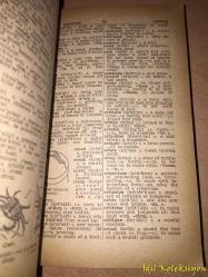 Webster's Dictionary - Noah Webster & Edward N. Teall - Award Books - İngilizce Kitap (Webster Sözlüğü) Hafif Yıpranmış Kapak