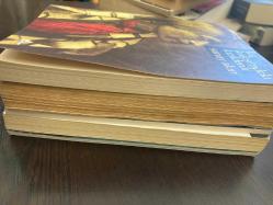 Kız kulesindeki kizilderili -imzalı- , önce çocuklar ve kadınlar - iki farklı tarihte çift imzalı- ayçöreği ve denizyıldızı, 62 tavşanı, kaza süsü