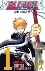 Manga- Bleach (10 ADET)