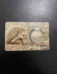 Uzun Kulaklı Kirpi 2014 Hayvanlar Serisi Özel Kitinde