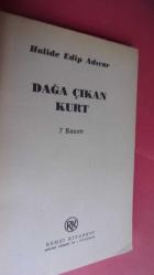 DAĞA ÇIKAN KURT