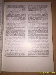 A Song in Metal Folk art of Uzbekistan - Gafur Gulyam Art and Literature Publishers - Rusça , İngilizce Kitap (Özbekistan'ın Metal Halk Sanatında Bir Şarkı)