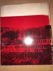 Reyner Banham - Brutalismus in der Architektur - Karl Kramer Verlag - Almanca Kitap (Mimarlıkta Brütalizm)
