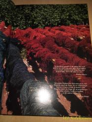 Black Mountain Looms - Volume One - Michaelian & Kohlberg - İngilizce , Almanca Kitap (Kara Dağ Tezgahları - Birinci Cilt)