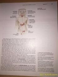 Exploring Psychology in Modules - David G. Myers - Worth Publishers - İngilizce Kitap (Psikolojiyi Modüller Halinde Keşfetmek)