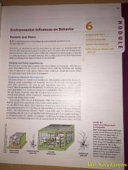 Exploring Psychology in Modules - David G. Myers - Worth Publishers - İngilizce Kitap (Psikolojiyi Modüller Halinde Keşfetmek)