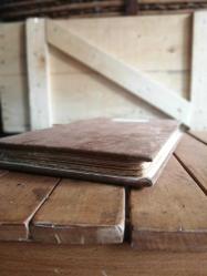 Attila et les Huns (Illusration d'Erika Trautmann-Nehring)