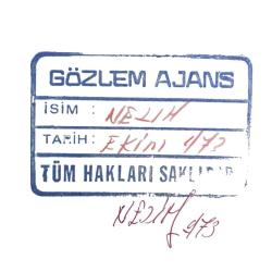 Cumhuriyet Halk Partisi mitinginde, CHP rozetli çocuk - Gözlem Ajans 18x24 fotoğraf