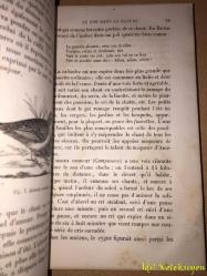 L'Acoustique ou Les Phenomenes Du Son - Rodolphe Radau - Librairie De L. Hachette - Fransızca Kitap (Akustik veya Ses Olayları) Hafif Yıpranma ve Lekeler Mevcut