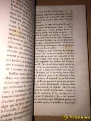L'Acoustique ou Les Phenomenes Du Son - Rodolphe Radau - Librairie De L. Hachette - Fransızca Kitap (Akustik veya Ses Olayları) Hafif Yıpranma ve Lekeler Mevcut