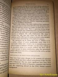 The Thatcher Effect - Dennis Kavanagh & Anthony Seldon - Clarendon Press - İngilizce Kitap (Thatcher Etkisi)