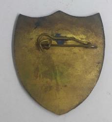 Türk Deniz Kuvvetleri  Donanma Komutanlığı Bröve (Koleksiyon amaçlı )