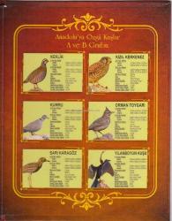 2019 Anadolu'ya Özgü Kuşlar Serisi Albümü (Paralar Dahil Değildir. Sadece Kit)