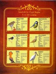 2019 Anadolu'ya Özgü Kuşlar Serisi Albümü (Paralar Dahil Değildir. Sadece Kit)