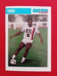 Oumar Gueye Sene - Onze Mondial Football Collection Photo Card - 14X10 cm - Futbol Koleksiyon Fotokart