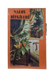 SALON BİTKİLERİ