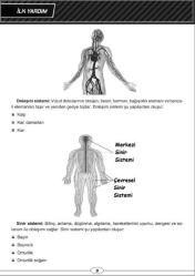 Yüzde Yüz Çıkacak Ehliyet Soruları Seti (1000 Soru + Ders Notları)