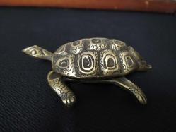 PİRİNÇ KAPLUMBAĞA KÜLLÜK