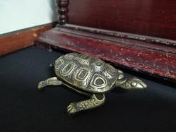 PİRİNÇ KAPLUMBAĞA KÜLLÜK