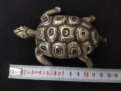 PİRİNÇ KAPLUMBAĞA KÜLLÜK