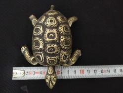 PİRİNÇ KAPLUMBAĞA KÜLLÜK