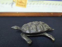 PİRİNÇ KAPLUMBAĞA KÜLLÜK