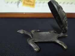 PİRİNÇ KAPLUMBAĞA KÜLLÜK