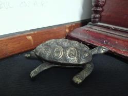 PİRİNÇ KAPLUMBAĞA KÜLLÜK