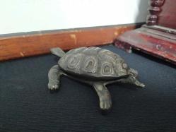 PİRİNÇ KAPLUMBAĞA KÜLLÜK