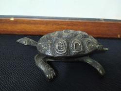 PİRİNÇ KAPLUMBAĞA KÜLLÜK