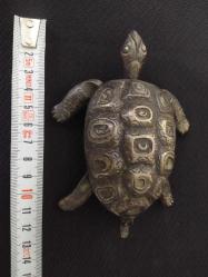 PİRİNÇ KAPLUMBAĞA KÜLLÜK